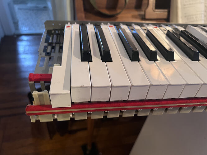 IMG_8687