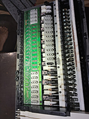 1000083656